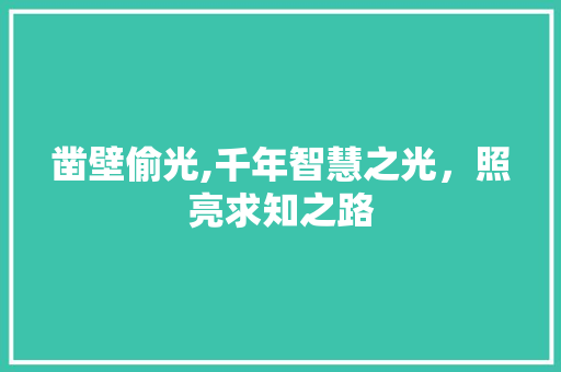 凿壁偷光,千年智慧之光，照亮求知之路