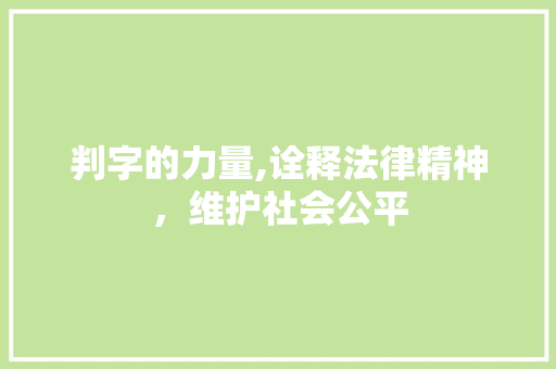 判字的力量,诠释法律精神，维护社会公平