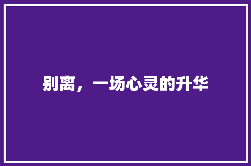 别离，一场心灵的升华