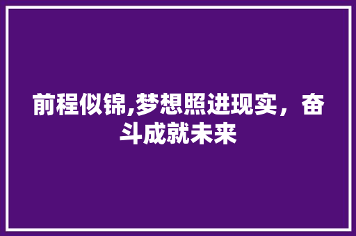 前程似锦,梦想照进现实，奋斗成就未来