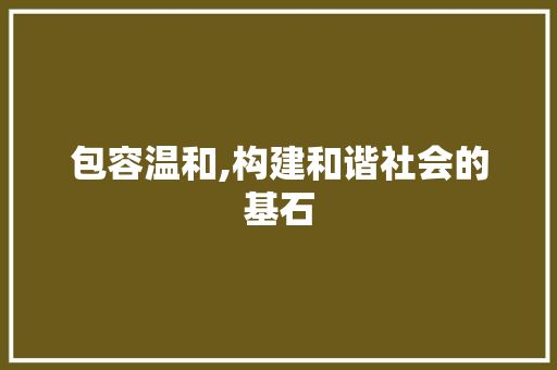 包容温和,构建和谐社会的基石