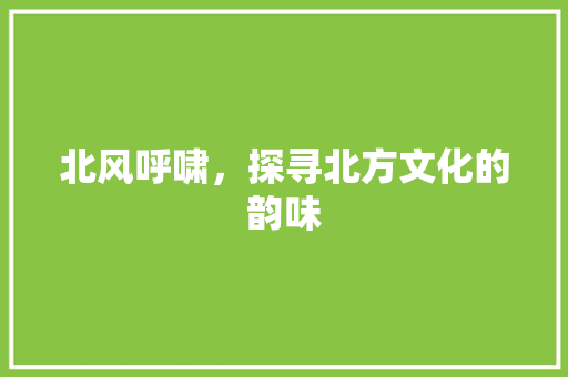 北风呼啸，探寻北方文化的韵味