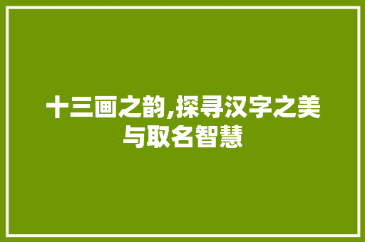 十三画之韵,探寻汉字之美与取名智慧