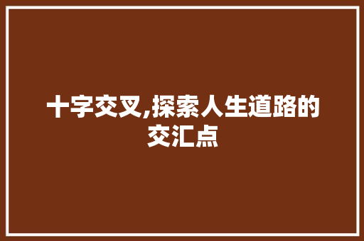 十字交叉,探索人生道路的交汇点