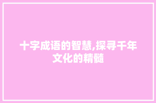 十字成语的智慧,探寻千年文化的精髓