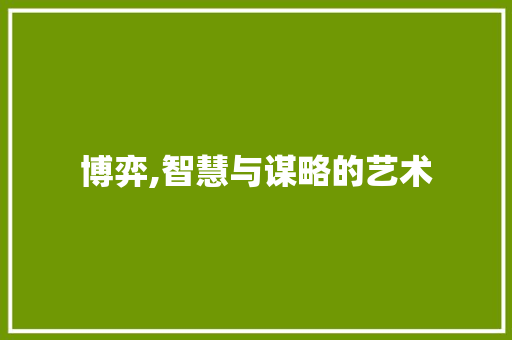 博弈,智慧与谋略的艺术
