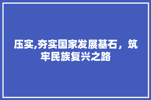 压实,夯实国家发展基石，筑牢民族复兴之路