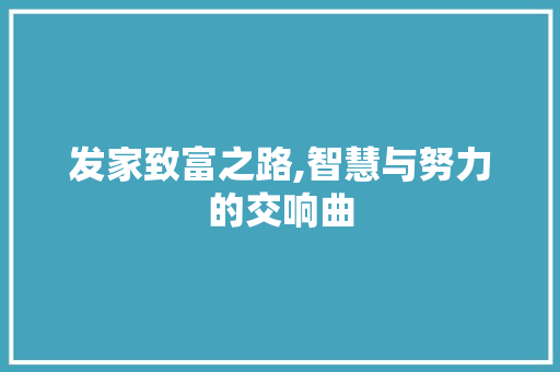 发家致富之路,智慧与努力的交响曲