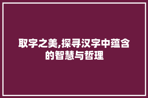 取字之美,探寻汉字中蕴含的智慧与哲理