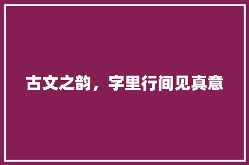 古文之韵，字里行间见真意