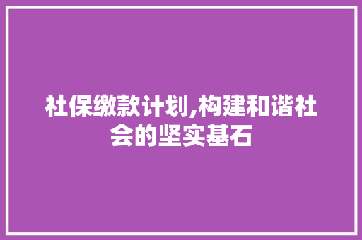 社保缴款计划,构建和谐社会的坚实基石