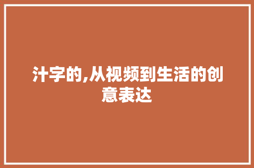 汁字的,从视频到生活的创意表达