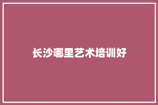 长沙哪里艺术培训好