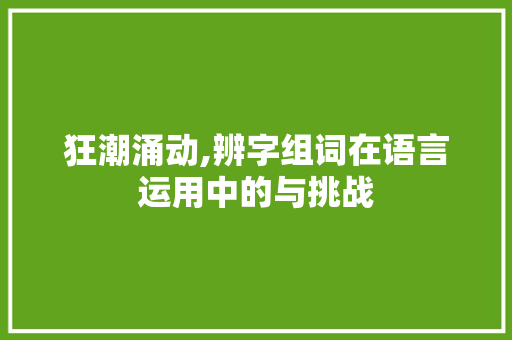狂潮涌动,辨字组词在语言运用中的与挑战