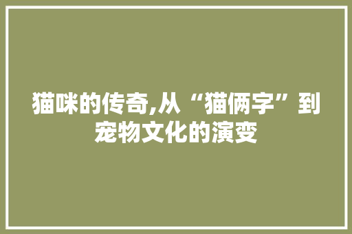 猫咪的传奇,从“猫俩字”到宠物文化的演变