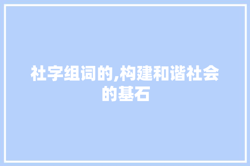社字组词的,构建和谐社会的基石