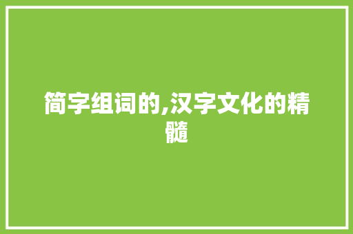 简字组词的,汉字文化的精髓 商业计划书范文