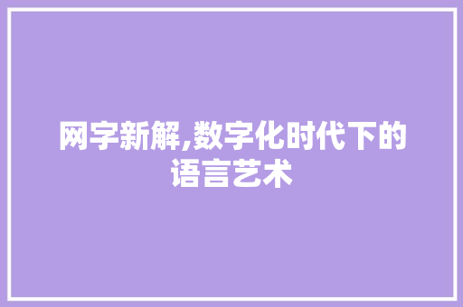 网字新解,数字化时代下的语言艺术