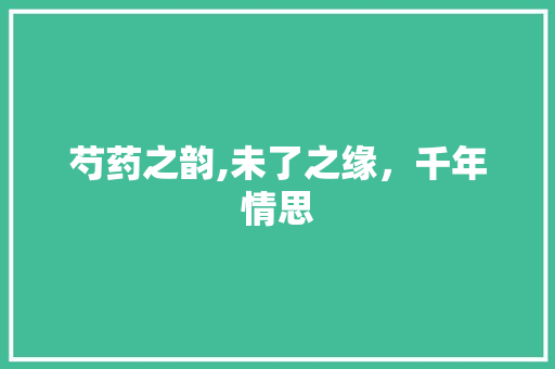 芍药之韵,未了之缘，千年情思