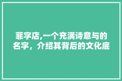 菲字店,一个充满诗意与的名字，介绍其背后的文化底蕴与市场前景