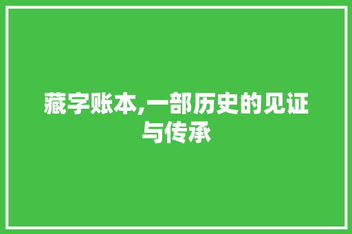藏字账本,一部历史的见证与传承 范文宝典