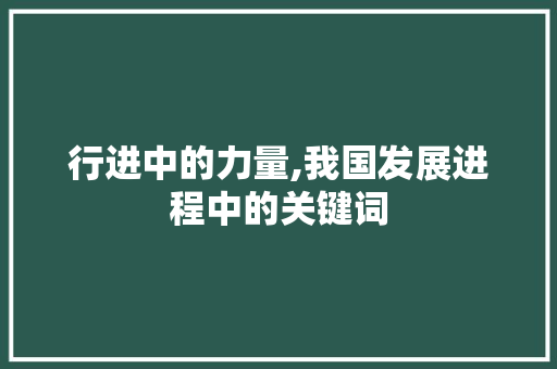 行进中的力量,我国发展进程中的关键词