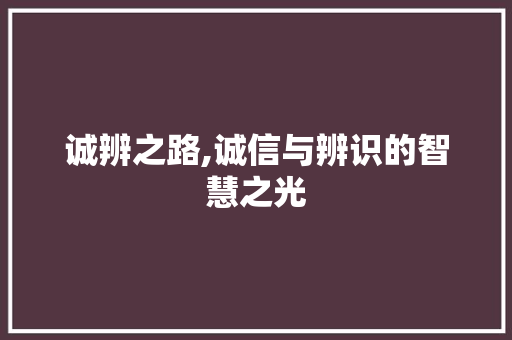 诚辨之路,诚信与辨识的智慧之光