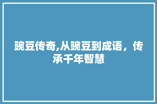 豌豆传奇,从豌豆到成语，传承千年智慧