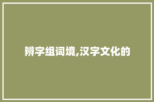 辨字组词境,汉字文化的 商业计划书范文