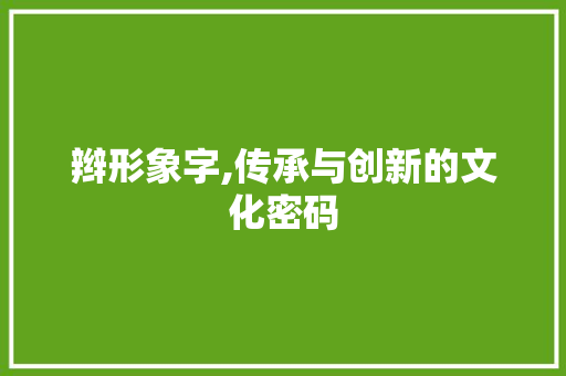 辫形象字,传承与创新的文化密码