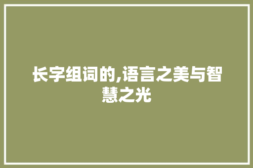 长字组词的,语言之美与智慧之光