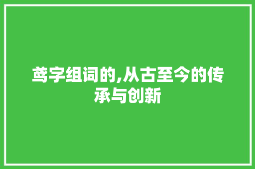 鸢字组词的,从古至今的传承与创新