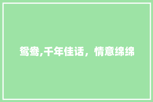 鸳鸯,千年佳话，情意绵绵
