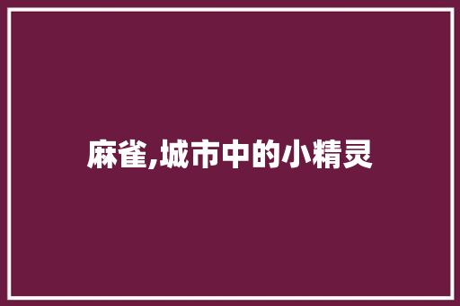 麻雀,城市中的小精灵