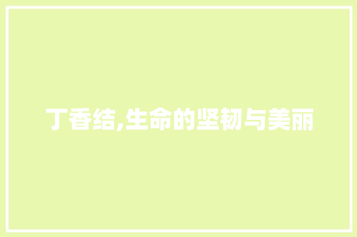 丁香结,生命的坚韧与美丽 合同协议