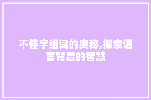 不懂字组词的奥秘,探索语言背后的智慧