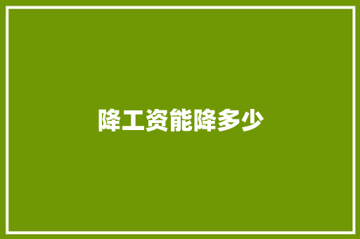 降工资能降多少