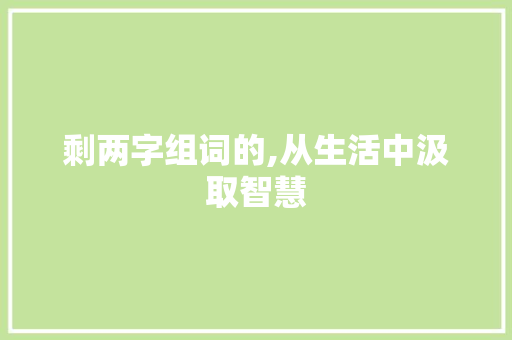 剩两字组词的,从生活中汲取智慧