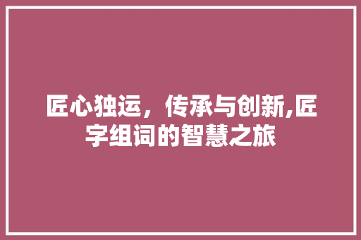 匠心独运，传承与创新,匠字组词的智慧之旅