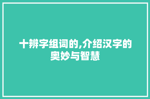 十辨字组词的,介绍汉字的奥妙与智慧 职场应用