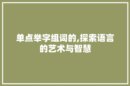 单点举字组词的,探索语言的艺术与智慧 职场应用