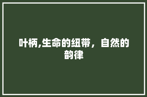 叶柄,生命的纽带，自然的韵律