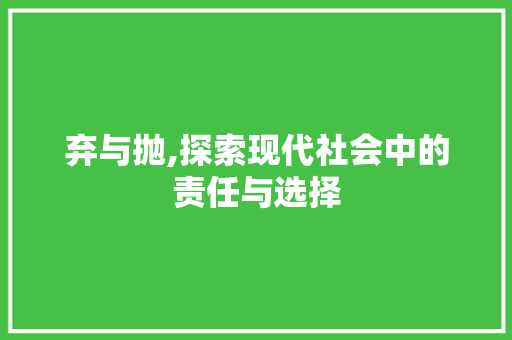 弃与抛,探索现代社会中的责任与选择