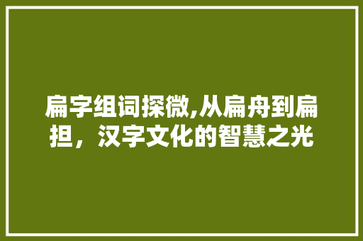 扁字组词探微,从扁舟到扁担，汉字文化的智慧之光