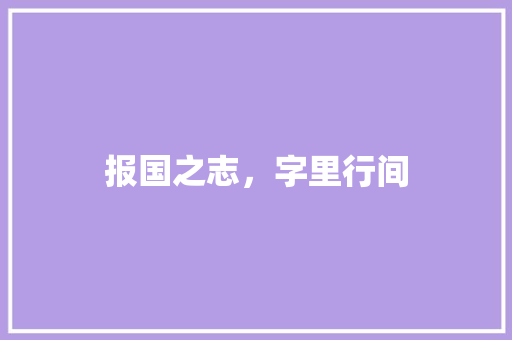 报国之志，字里行间