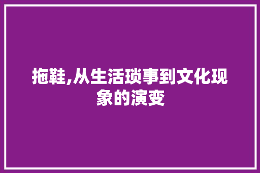 拖鞋,从生活琐事到文化现象的演变