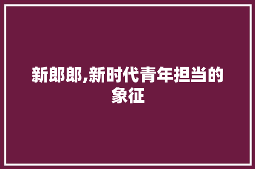 新郎郎,新时代青年担当的象征