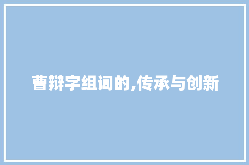 曹辩字组词的,传承与创新
