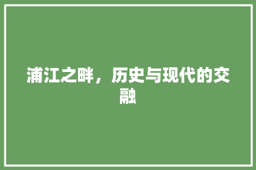 浦江之畔，历史与现代的交融