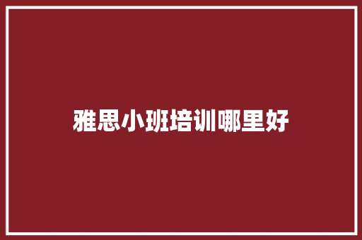 雅思小班培训哪里好